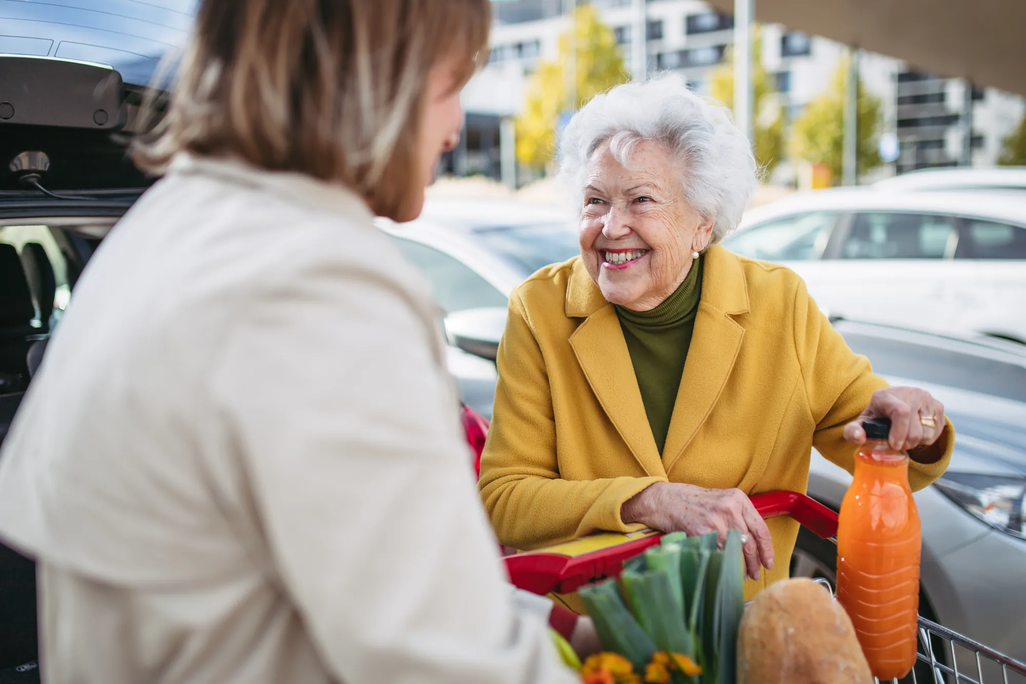 Smiling senior woman loading groceries into a car with help